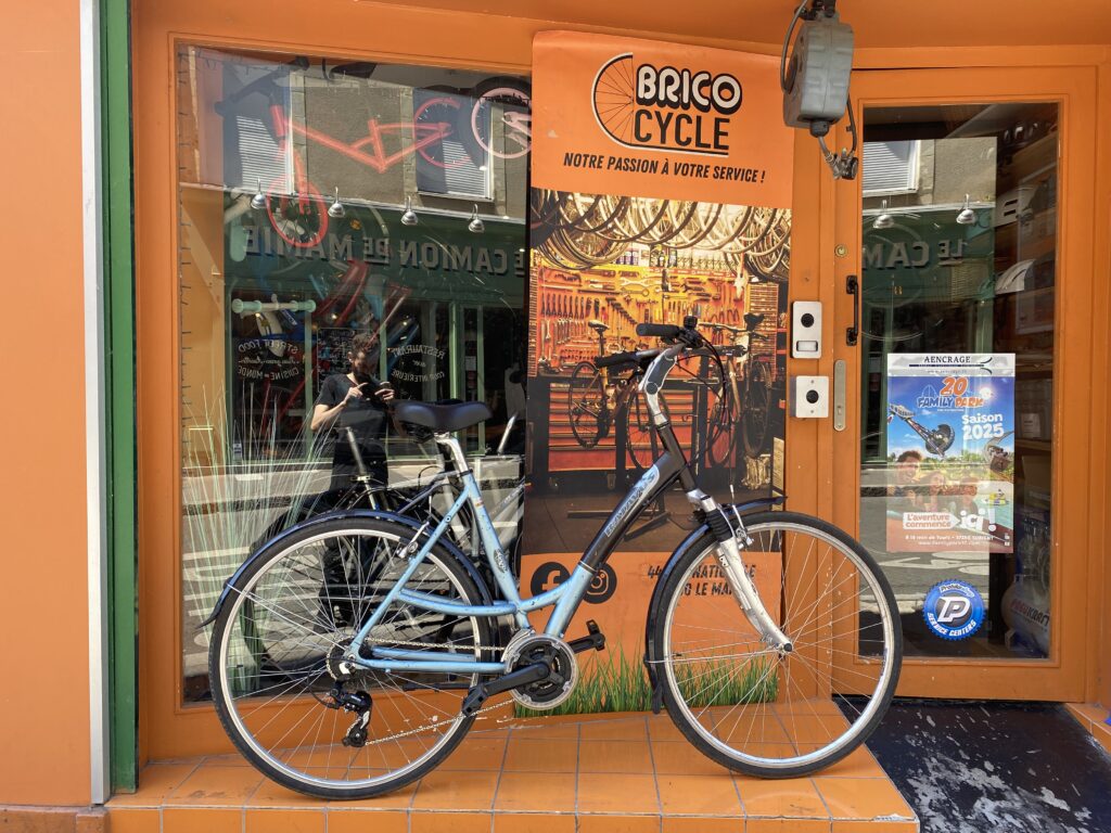 Batavus