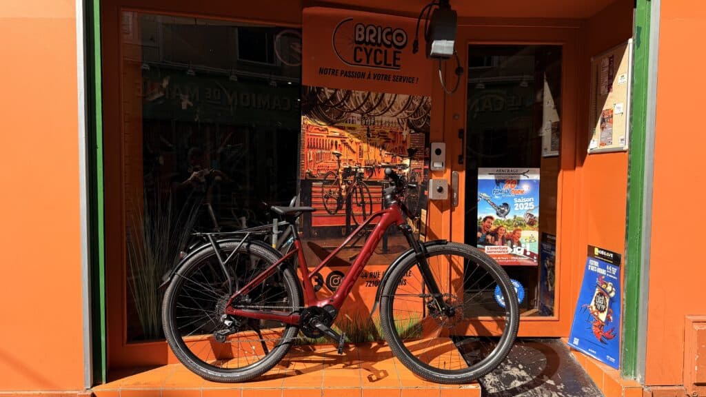 Orbea